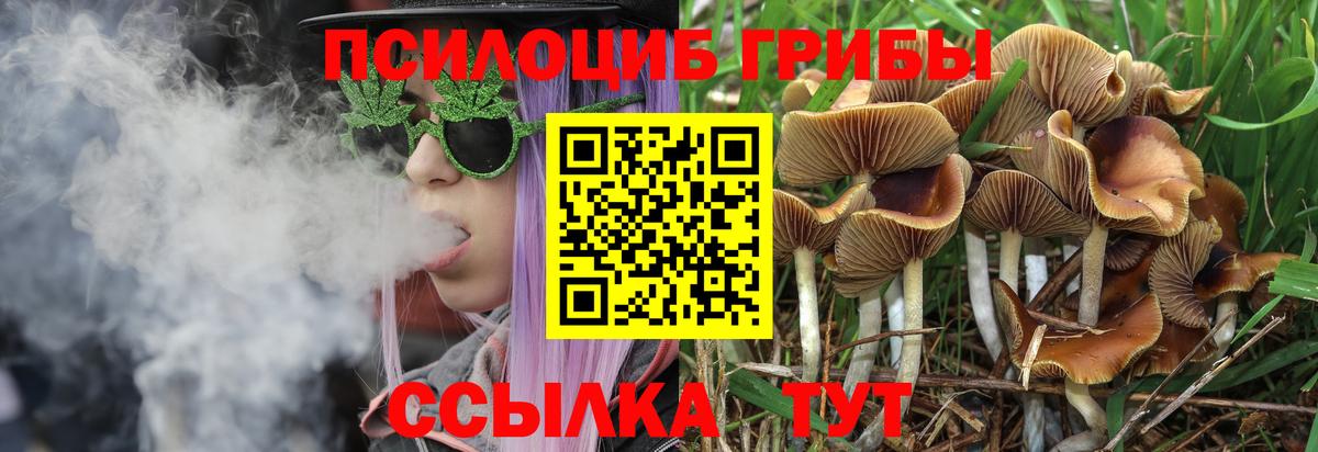 Псилоцибиновые грибы ЛСД Ялта